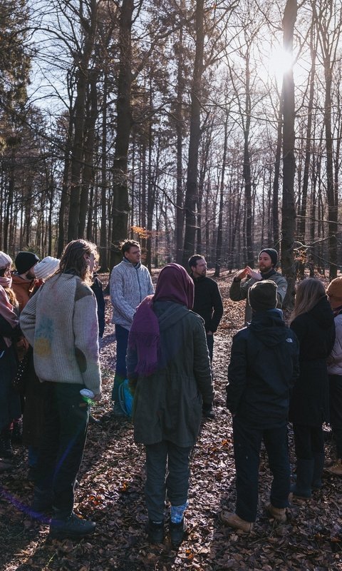 Weekendretraite in de bossen van de Veluwe, waarin de creatieve kracht van de lente je helpt een nieuwe richting te geven aan je leven en werk.