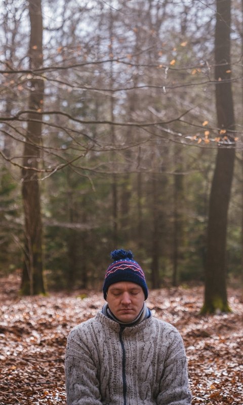 Weekendretraite in de bossen van de Veluwe, waarin de creatieve kracht van de lente je helpt een nieuwe richting te geven aan je leven en werk.