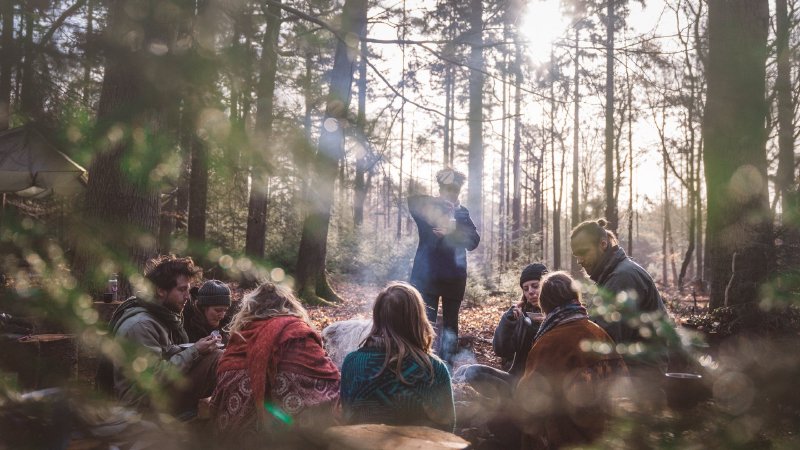 Weekendretraite in de bossen van de Veluwe, waarin de creatieve kracht van de lente je helpt een nieuwe richting te geven aan je leven en werk.