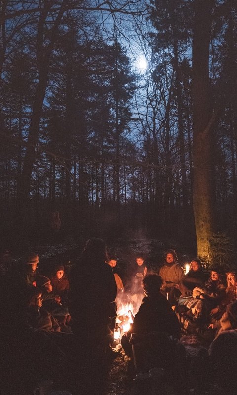 Weekendretraite in de bossen van de Veluwe, waarin de creatieve kracht van de lente je helpt een nieuwe richting te geven aan je leven en werk.