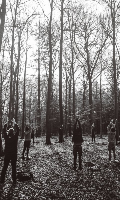 Weekendretraite in de bossen van de Veluwe, waarin de creatieve kracht van de lente je helpt een nieuwe richting te geven aan je leven en werk.