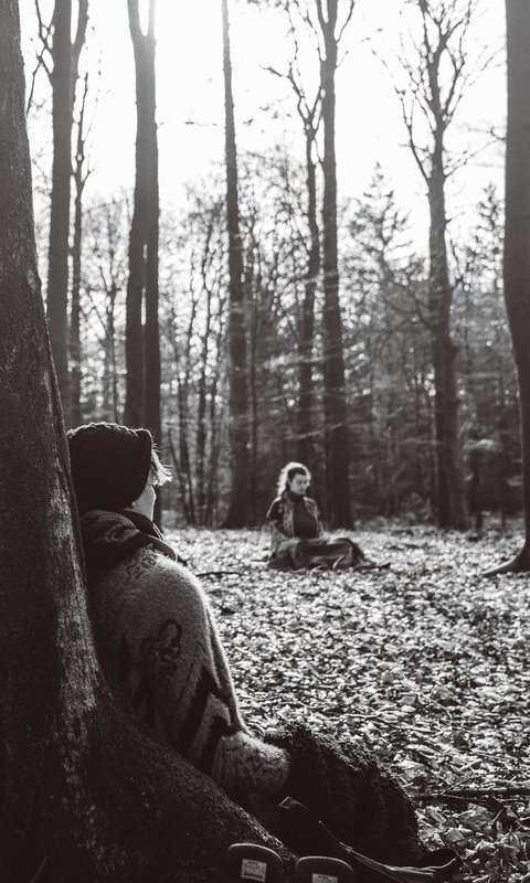 Weekendretraite in de bossen van de Veluwe, waarin de creatieve kracht van de lente je helpt een nieuwe richting te geven aan je leven en werk.