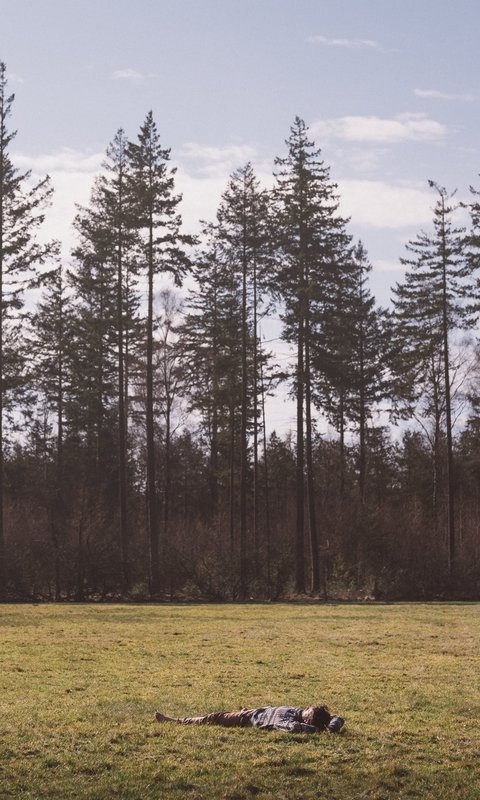 Weekendretraite in de bossen van de Veluwe, waarin de creatieve kracht van de lente je helpt een nieuwe richting te geven aan je leven en werk.