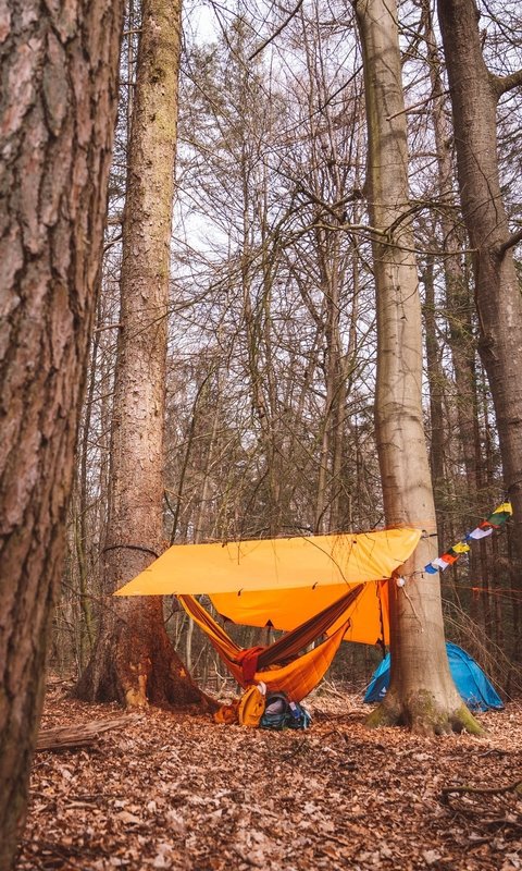 Weekendretraite in de bossen van de Veluwe, waarin de creatieve kracht van de lente je helpt een nieuwe richting te geven aan je leven en werk.