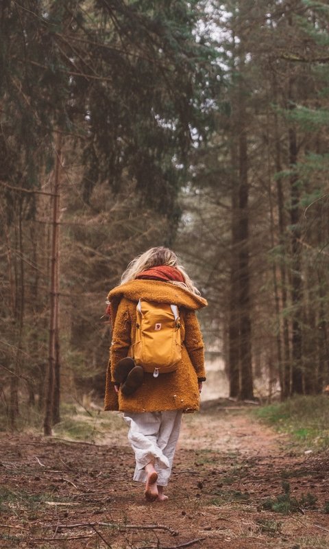 Weekendretraite in de bossen van de Veluwe, waarin de creatieve kracht van de lente je helpt een nieuwe richting te geven aan je leven en werk.