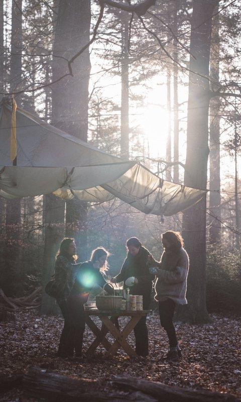 Weekendretraite in de bossen van de Veluwe, waarin de creatieve kracht van de lente je helpt een nieuwe richting te geven aan je leven en werk.