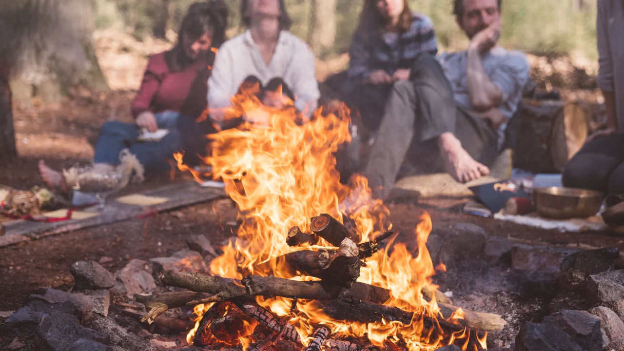 Weekend retreat in the forests of the Veluwe, where the creative force of spring helps you set a new direction for your life and work.