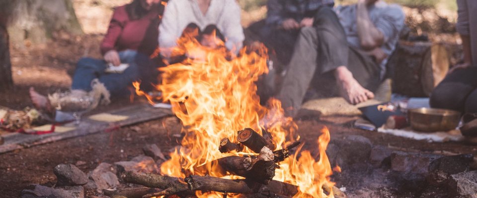 Weekendretraite in de bossen van de Veluwe, waarin de creatieve kracht van de lente je helpt een nieuwe richting te geven aan je leven en werk.