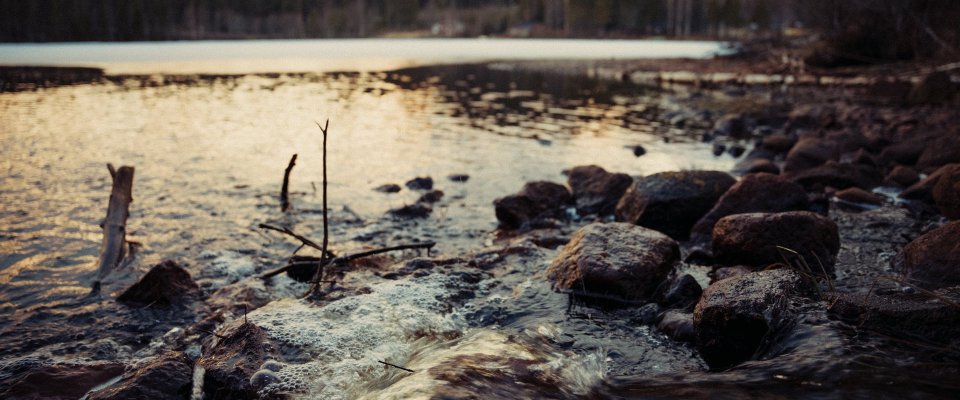 Over de jaloezie op een natuur die zingt zonder twijfel, en de kunst van stenen leggen in een stroom die ik niet beheers.