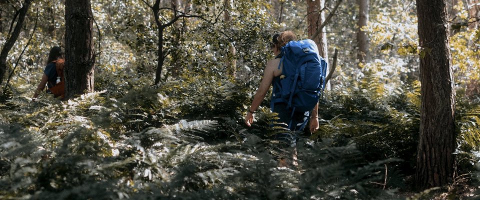 Een vijfdaagse verdiepende wandeltocht door de natuurgebieden van onze zuidergrens, inclusief een tweedaagse stilteretraite in het trappistenklooster Abdij Westmalle.
