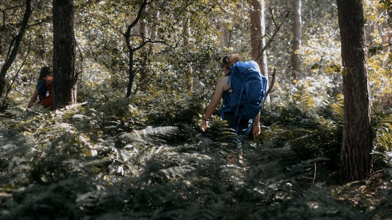 Een vijfdaagse verdiepende wandeltocht door de natuurgebieden van onze zuidergrens, inclusief een tweedaagse stilteretraite in het trappistenklooster Abdij Koningshoeven.