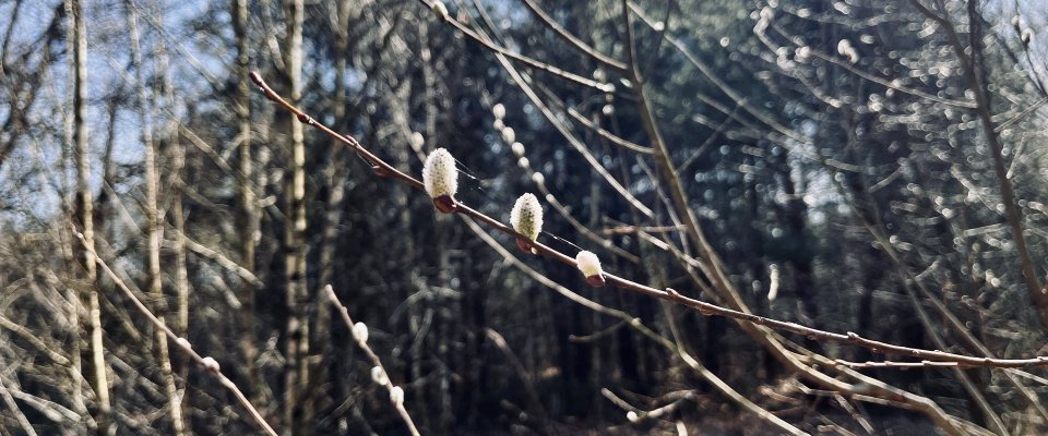 Over stilstand, breken en de kwetsbare eerste stap die niemand voor je kan maken.