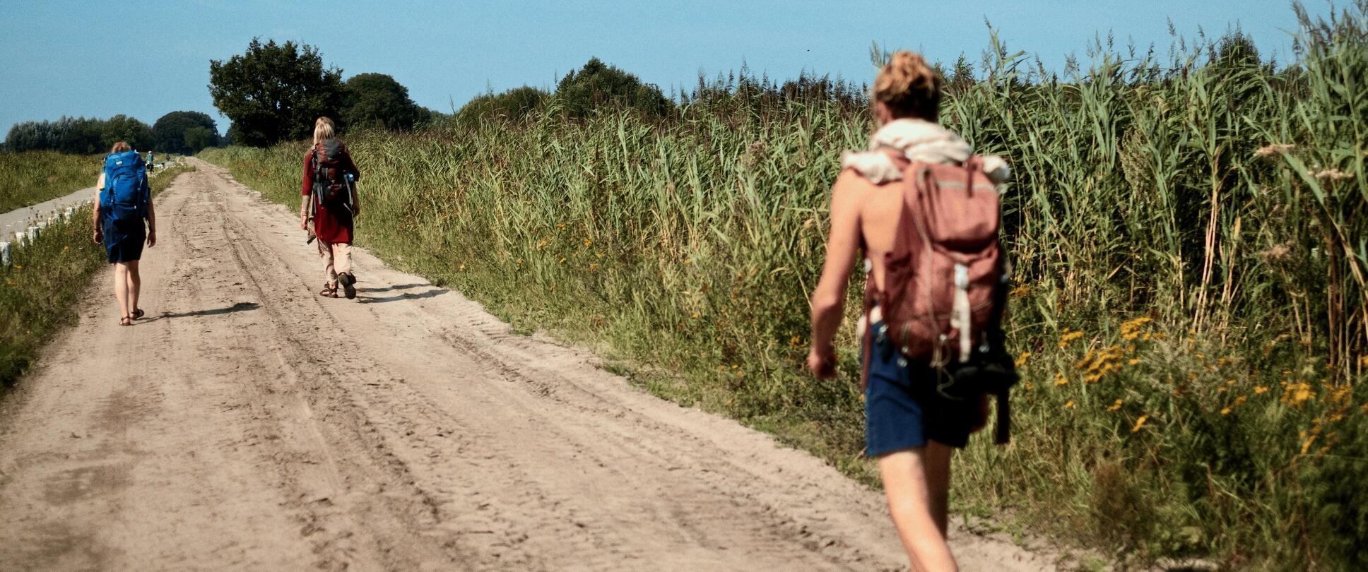 De Pelgrimage is een vijfdaagse verdiepende wandeltocht door de Veluwe, met een twee-daagse bezinning in het trappistenklooster Abdij Koningsoord.